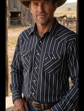 Vtg Wrangler Western Shirt Sz L Tall Black & Grey Stripes